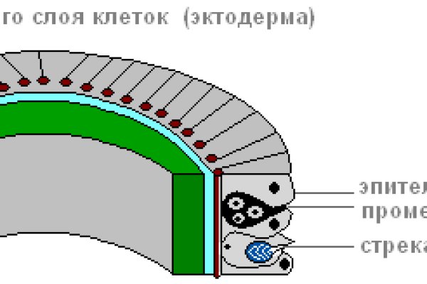 Актуальный адрес кракена