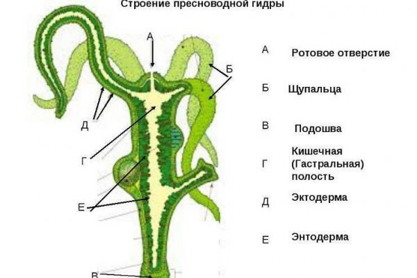 Кракен тор kraken014 com