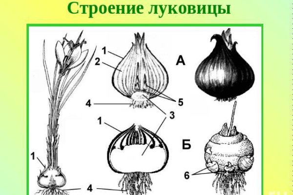 Кракен маркетплейс kr2web in площадка торговая